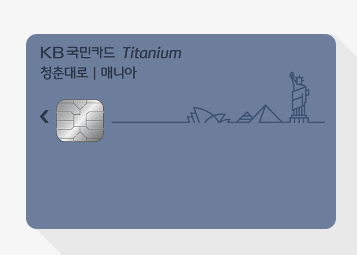 국민매니아UPI카드