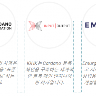 에이다 코인과 카르다노 관계