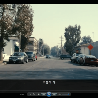 윈도우 미디어 플레이어 자막