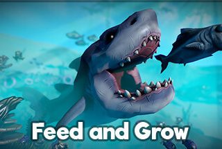 피드 앤 그로우 피쉬