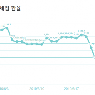 면세점 환율 그래프